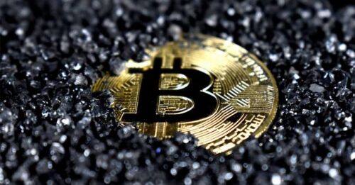 Pig币最新动态：生态扩张与投资价值双重爆发