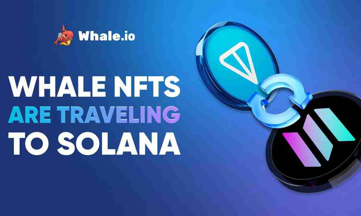 鲸鱼NFT跨链：TON到Solana迁移指南