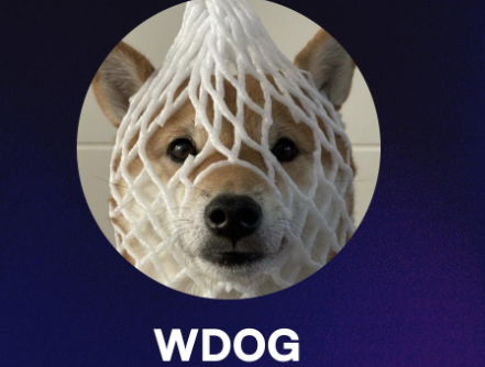 Wrapped Dog代币：投资潜力与风险分析