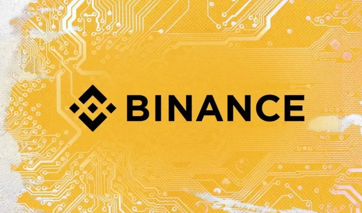 BNB价格动态：实时查询与影响因素