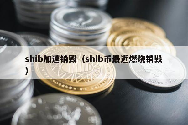 SHIB币加速销毁：最新燃烧数据及未来展望