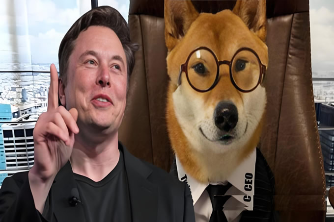 马斯克DOGE陷阱：富豪“电子宠物”收割术