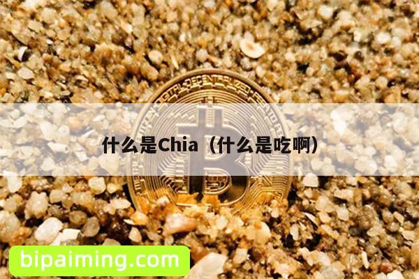 Chia奇亚：磁盘空间新货币