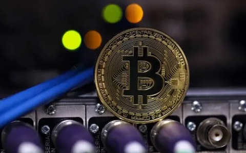SHIB币暴涨？一美金神话能否实现？