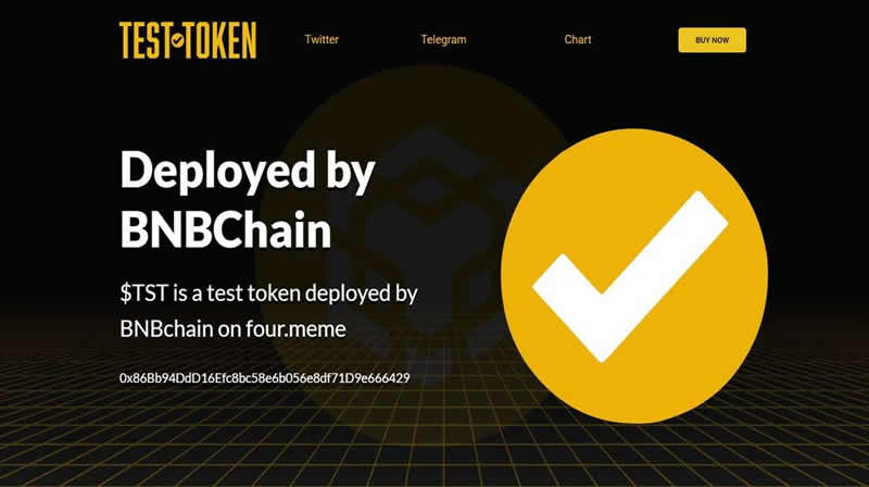TST币爆火：币安搅局还是财富密码？