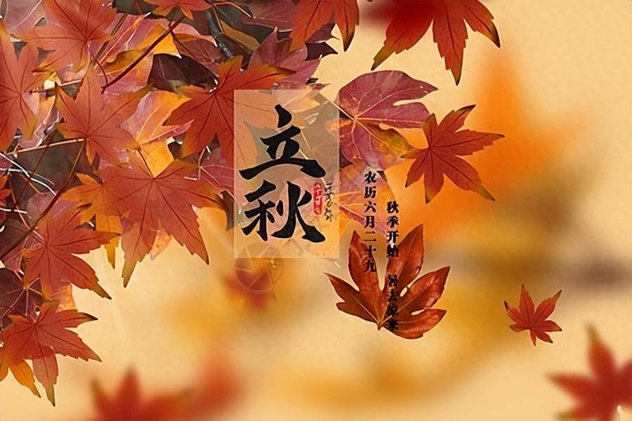“立秋吃4鲜，秋冬无病扰 ”8月7日立秋，4鲜指啥？应季而食身体棒