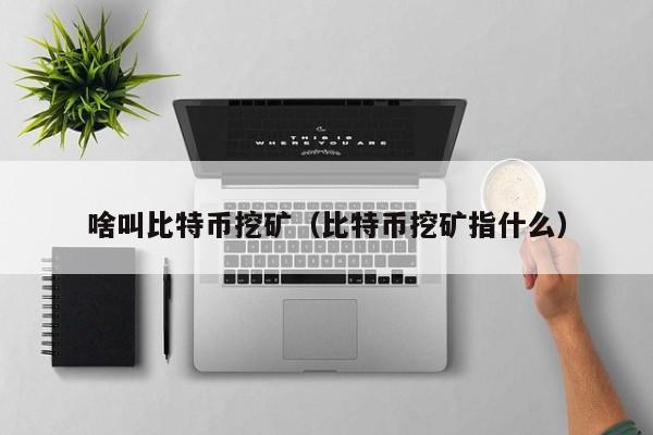 比特币挖矿详解：全球竞赛与网络安全
