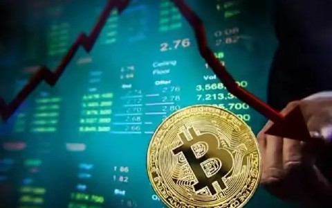陀螺币价格揭秘：现在多少钱一个？