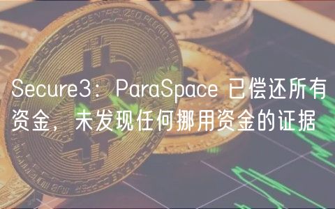 ParaSpace资金风波落幕：已偿还，无挪用！
