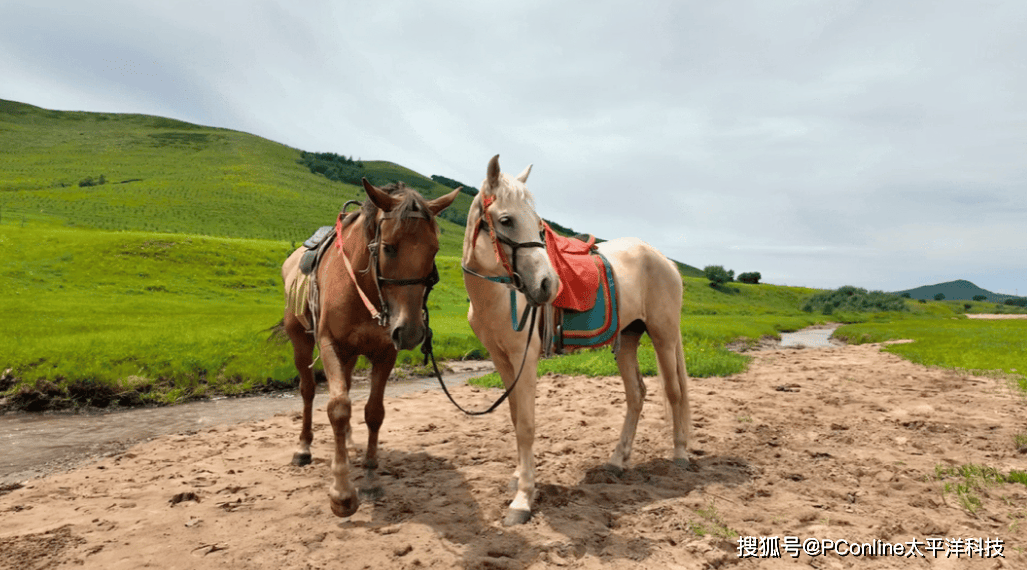 飞利浦无线投屏显示27B2W5600，轻松“随地大小投”