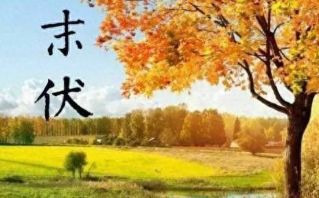 “末伏吃烙饼”，明日末伏，这5种饼要多吃，简单好吃营养易消化