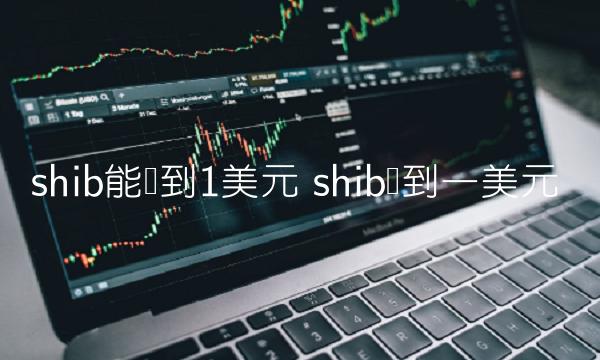 SHIB冲刺1美元：潜力与风险并存