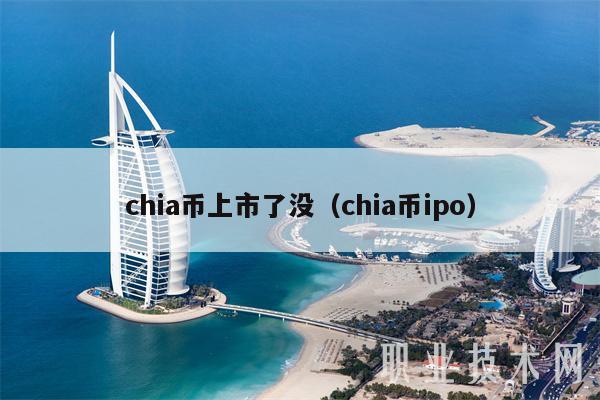 Chia币上市揭秘：IPO动态与投资指南