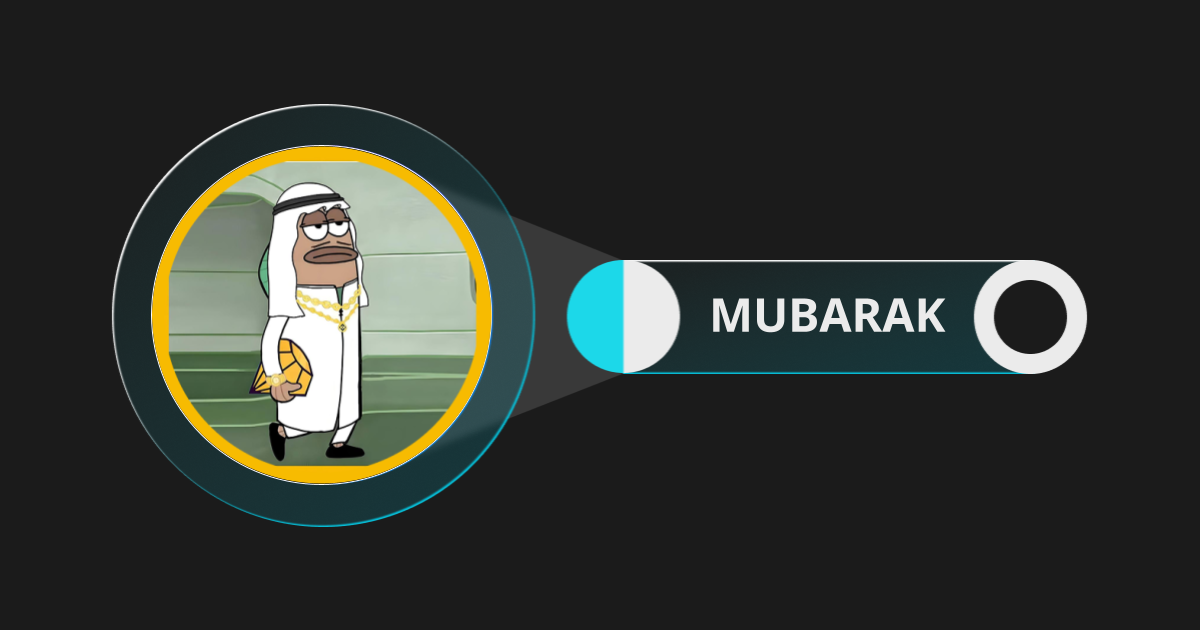 Mubarak币合约交易：新手指南与策略解析