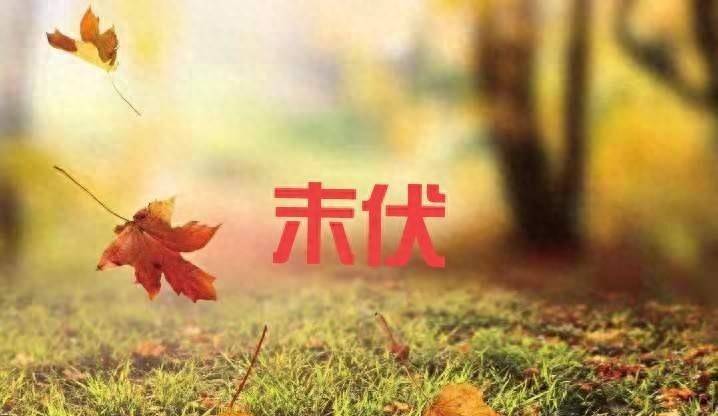 “末伏吃4酸，秋冬病不沾”今日末伏，哪4酸? 润肺护肝，别不懂吃