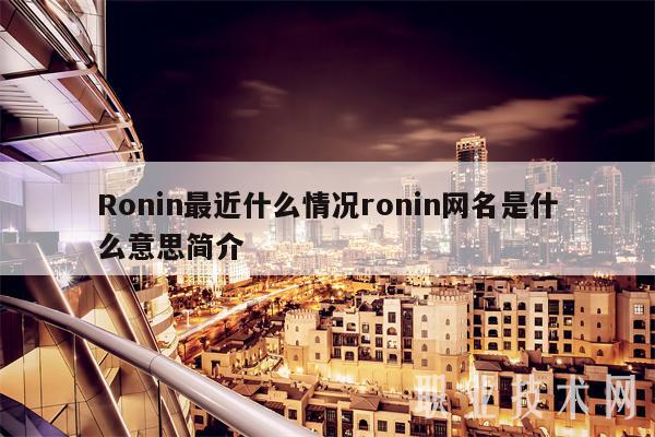 Ronin网名解密：揭示虚拟币中的浪人文化