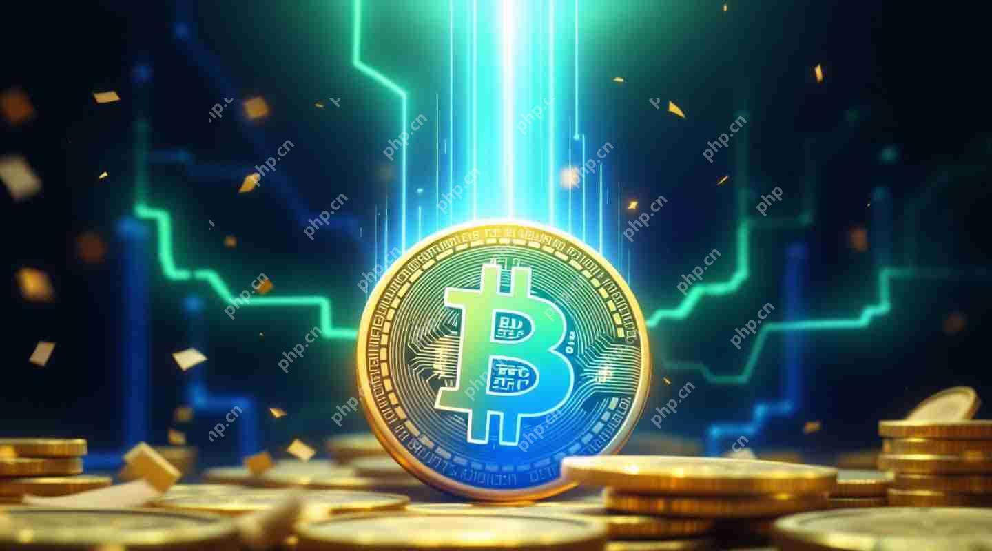 Semler加仓：3300+BTC比特币持仓解析