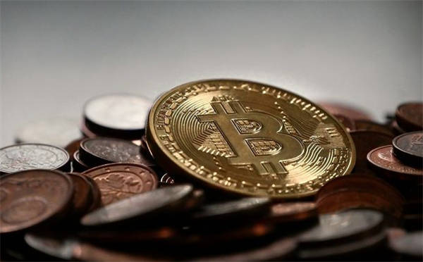 萨摩耶币(SAMO)发行时间？一文读懂SAMO币价值！