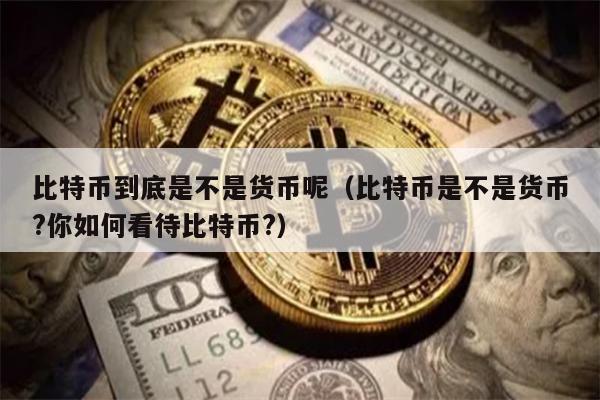 比特币是货币吗？数字资产新解