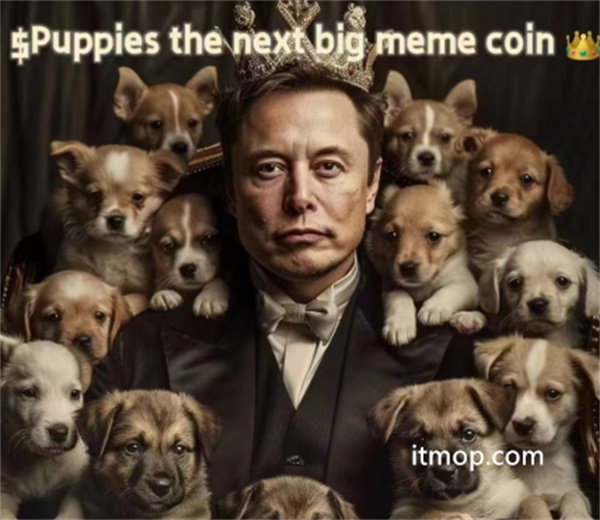 Puppies币发行量多少？总量揭秘与价值分析