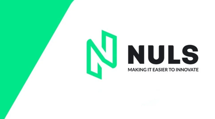 NULS币：国产创新or全球生态？