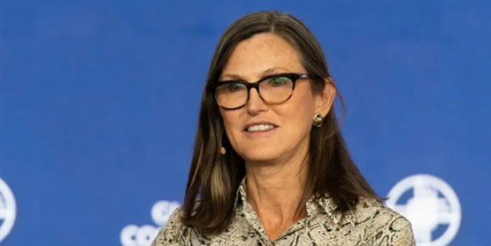 Cathie Wood：比特币2030年暴涨？