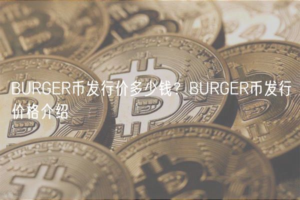 BURGR币发行价揭秘：暴涨潜力？