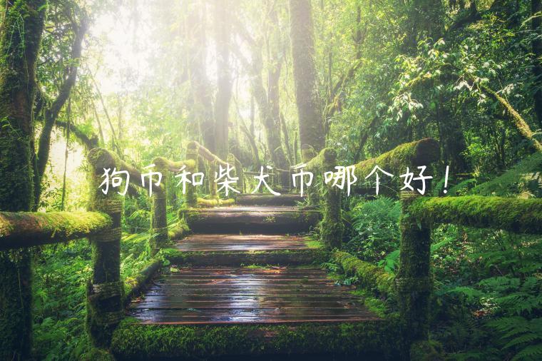 狗币 vs 柴犬币：哪个更值得投资？