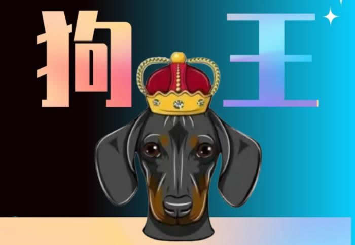 DOGEKING币：春晚爆火，是机遇还是陷阱？