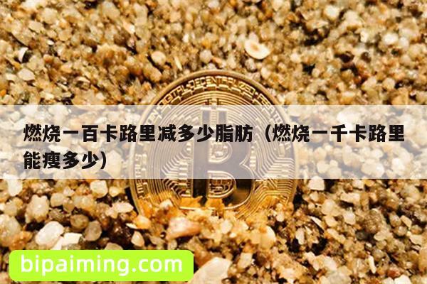 燃脂秘籍：燃烧卡路里=减少脂肪？
