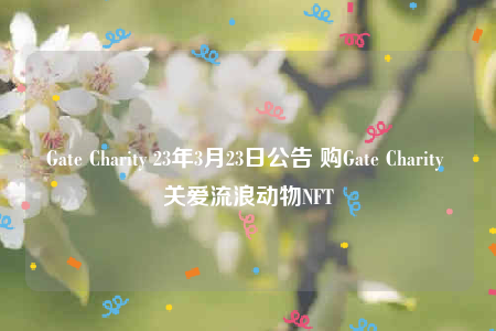 Gate Charity NFT助力流浪猫：购5美元即可支持