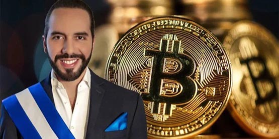布克尔连任：萨尔瓦多比特币未来？