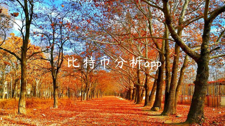 比特币分析app：欧意交易所下载，获取最新行情