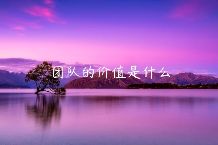 团队价值：1+1>2？协作共赢秘籍！