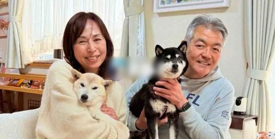 Doge主人发币也崩盘？COCORO暴跌启示