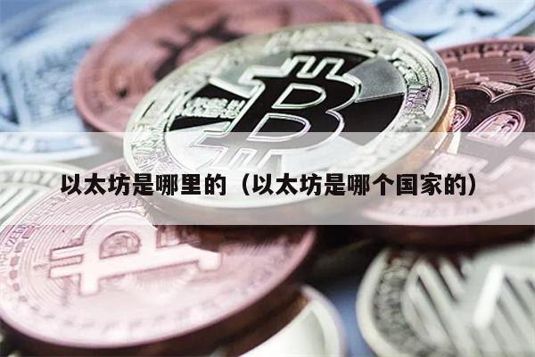 以太坊全球平台：V神俄加背景