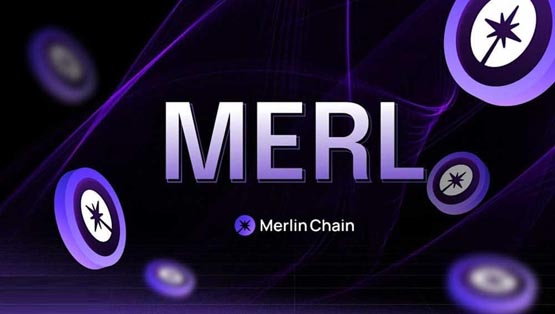 MERL币购买教程：新手交易指南