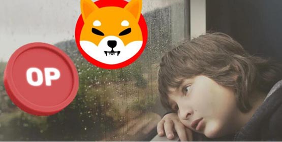 OP、SHIB暴涨！BTC盘整，谁是市场新宠？