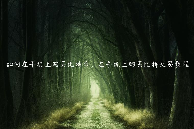 手机购比特币教程：欧易交易所app下载