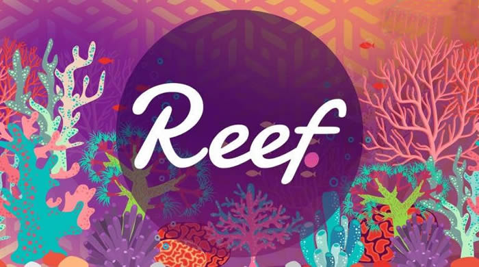 REEF币未来价值：波卡生态潜力币？