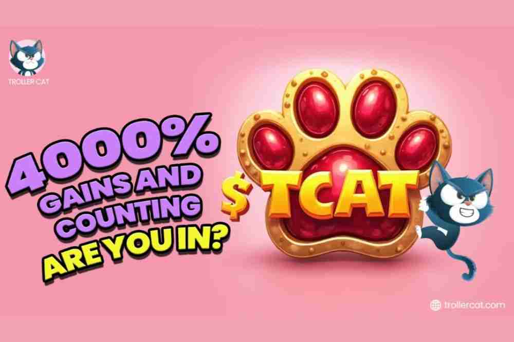 TCAT宇宙小猫任务：投资回报率惊人