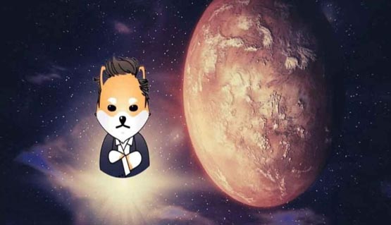 ELON币还能涨吗？未来价值深度分析