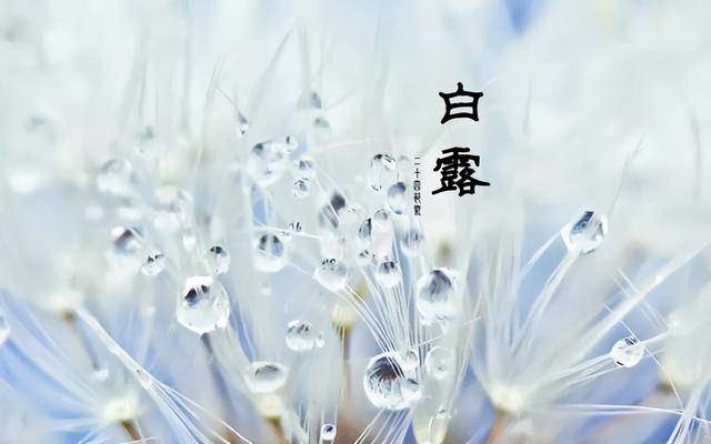 “白露吃3果，不把医生找”，明日白露，3宝指啥？ 有钱没钱都要吃