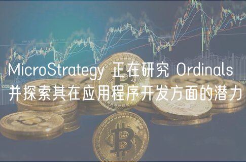 MicroStrategy探索Ordinals在应用开发中的无限潜力