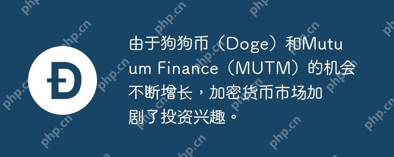 Doge与MUTM机会激增，投资热情高涨