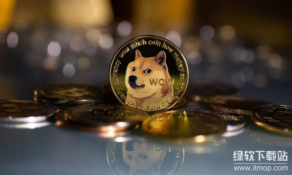 Dogeking币还能买吗？最新消息&风险解读