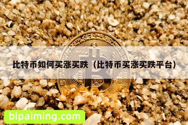 比特币涨跌攻略：新手也能轻松玩转期权