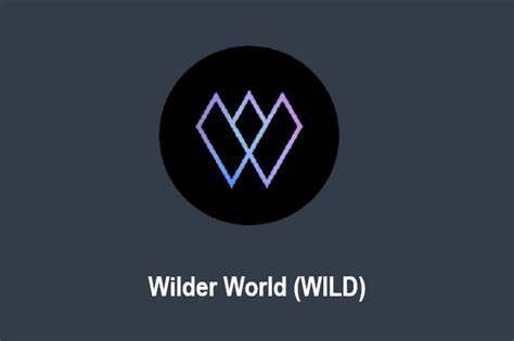 Wilder World：沉浸式元宇宙终极指南