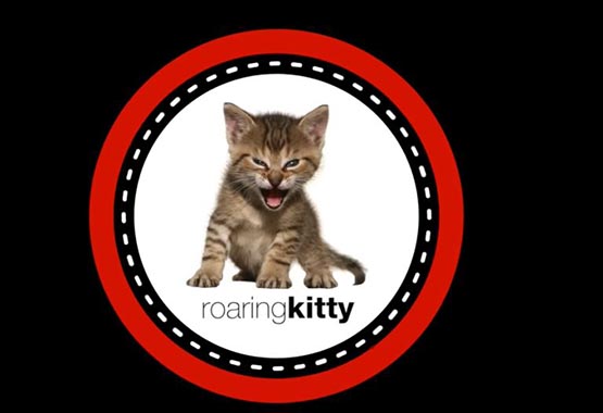 GME代币暴涨1800%：Roaring Kitty回归引爆市场