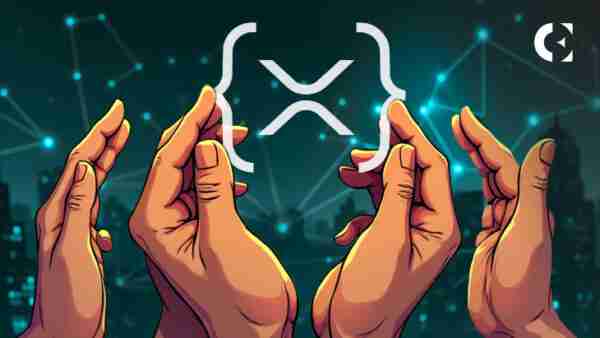 XRP Ledger交易井喷：510万笔背后的真相